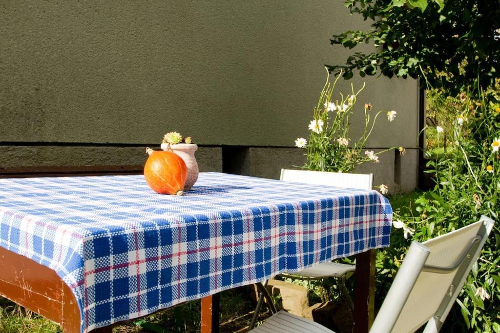 אילירסקה ביסטריצה Cozy Rooms In Nature, Perfect For Relax מראה חיצוני תמונה